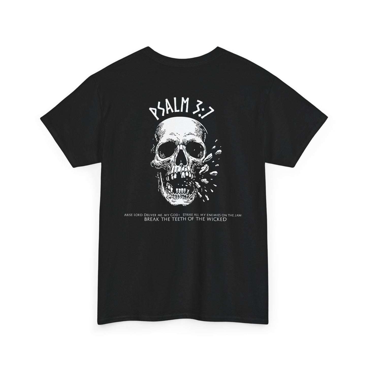 Shatter the Wicked ( Heavyweight Tee )