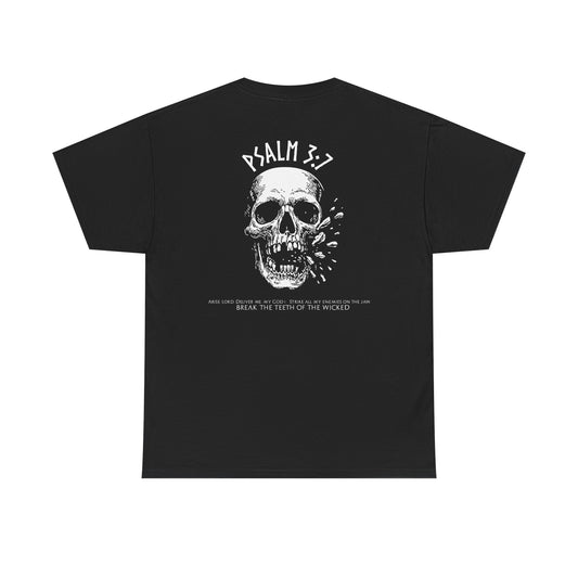 Shatter the Wicked ( Heavyweight Tee )